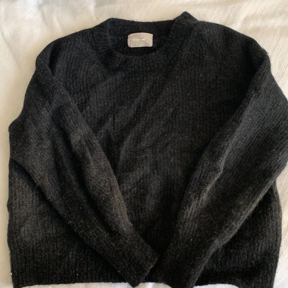 Everlane The Alpaca Crew Sweater (Cropped)